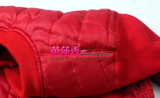 法国鳄鱼女精品中老年羽绒加厚保暖内衣bs021 品质之选，温暖相伴